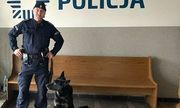 przewodnik z psem słuzbowym pozują do zdjęcia na tle napisu Policja