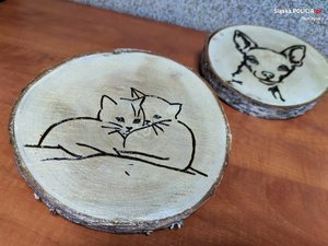 Zdjęcie kolorowe: widoczne dwa plastry drewna, na jednym z nich wypalony wzór dwóch małych kotów, a na drugim pies