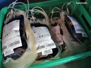 oddana krew w foliowych torebkach