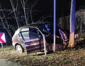 rozbity samochód, który uderzył w drzewo