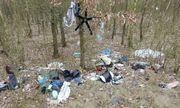 Dzikie wysypisko śmieci w lesie