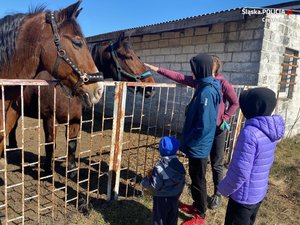 obieta z dziećmi zwiedza stadninę, głaszcze konie, które podeszły do ogrodzenia