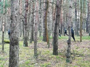 policjanci w lesie w trakcie poszukiwań