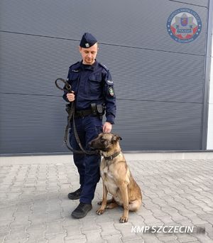 policjant z psem tropiącym