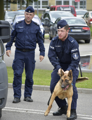 dwaj policjanci, jeden z nich z psem policyjnym na smyczy