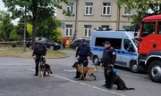 trzech policjantów z psami podczas ćwiczeń