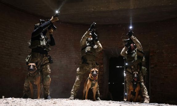 Trzech policjantów stoi na górce, obok nich stoją psy policyjne.