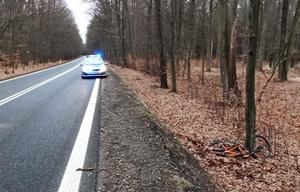 &quot;radiowóz na sygnale stoi na jezdni w lesie - widok z przodu