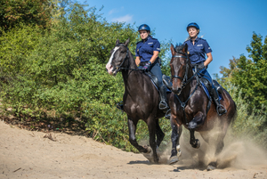 dwie policjantki jadące na koniach służbowych po piasku, w tle widać zarośla i drzewa, spod kopyt końskich unosi się piasek