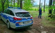 teren leśny, radiowóz i policjant podczas akcji poszukiwawczej