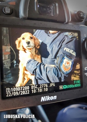 na zdjęciu uratowany pies na rękach policjanta