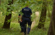 policjanci idą przez las - widok z tyłu