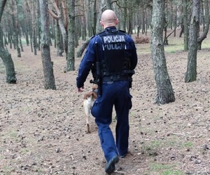 Policyjny przewodnik z psem w lesie w trakcie poszukiwań zaginionego mężczyzny