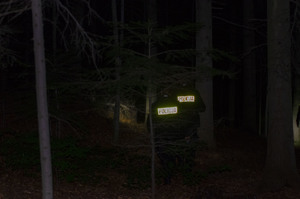 Zdjęcie poglądowe policjanci w porze nocnej w kompleksie leśnym w trakcie poszukiwań zaginionego
