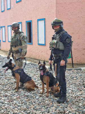 Dwaj kontrterroryści ze swoimi psami.