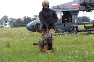 Policyjny pies w specjalnym kagańcu i goglach biegnie ze swoim przewodnikiem przez łąkę, na drugim planie policyjny śmigłowiec.