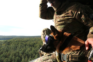 Policyjny pies w specjalnych goglach leży u boku swojego przewodnika na pokładzie śmigłowca i obserwuje przestrzeń przez otwarte drzwi.