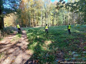 troje umundurowanych policjantów w żółtych kamizelkach w lesie poszukuje zaginionej