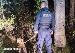 umundurowany policjant z psem tropiącym w lesie