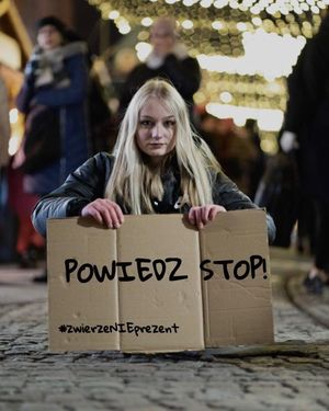 dziewczyna siedząca na chodniku trzyma karton z napisem powiedz stop! #zwierzenieprezent