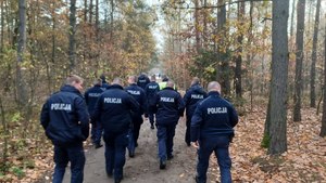 grupa umundurowanych policjantów  w lesie - widok z tyłu