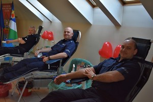 trzej policjanci podczas oddawania krwi