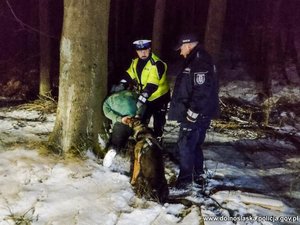 dwaj policjanci i pies policyjny zatrzymują w lesie poszukiwanego