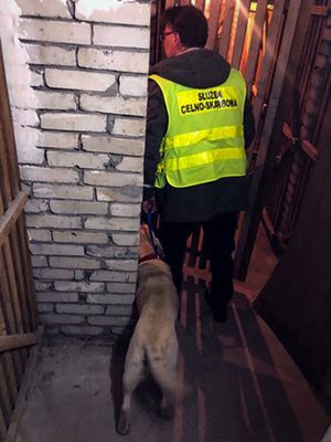 Zdjęcie przedstawia umundurowanego policjanta, który sprawdza pomieszczenie z psem.