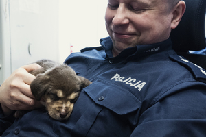 policjant trzyma szczeniaka
