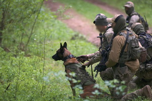 kontrterroryści z psem w lesie