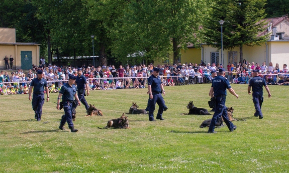 grupa policjantów z psami służbowymi podczas pokazu dla uczestników Dnia Otwartego CSP