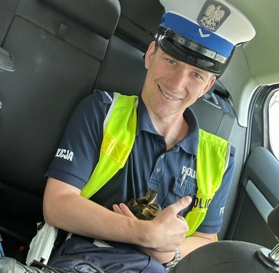 Umundurowany policjant
