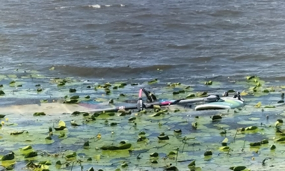 deska windsurfingowa leząca w na wodzie wśród zarośli wodnych