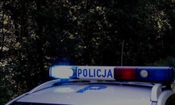 Policyjny radiowóz na tle lasu
