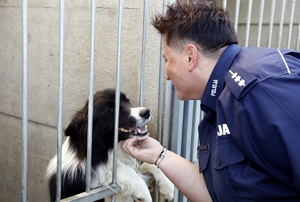 policjantka głaszcze psa znajdującego się za kratami kojca