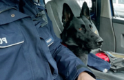 zdjęcie policjanta z psem, który odnalazł kobietę