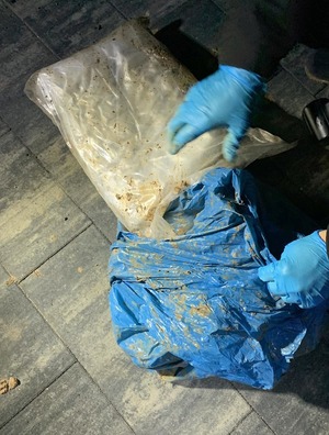 foliowy worek z białą substancją zabezpieczana przez policjanta