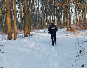 policjant idzie wśród drzew po śniegu