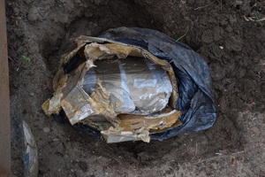 zabezpieczone narkotyki w czarnej foliowej torbie, zakopanej w ziemi