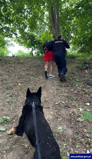 las. pies policyjny idzie za policjantem i zatrzymanym