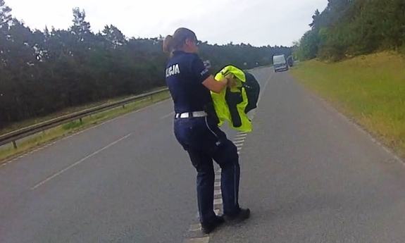 na zdjęciu umundurowana policjantka na ruchliwej drodze, w ręku trzyma rannego myszołowa