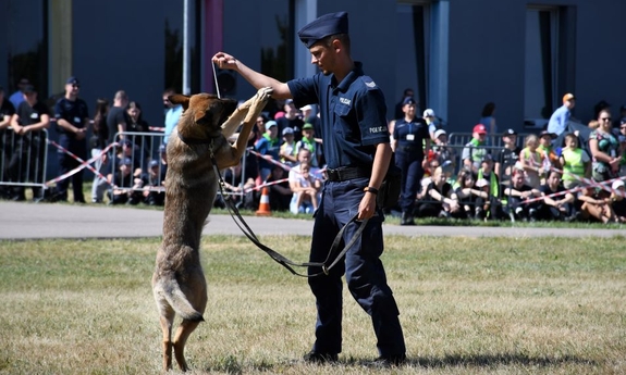 policjant z psem służbowym podczas pokazu, w tle widownia