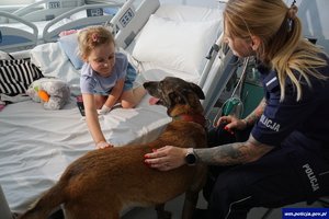 na zdjęciu umundurowana policjantka z psem służbowym znajduje się przy łóżku pacjentki szpitala, na łóżku siedzi dziewczynka