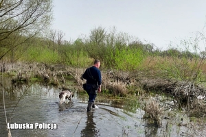 na zdjęciu umundurowany policjant z policyjnym psem służbowym w trakcie patrolu rzeki