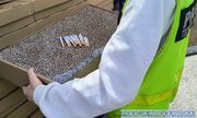 policjant trzyma karton wypakowany papierosami
