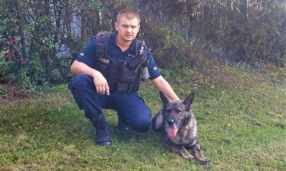 policjant kuca przy swoim psie policyjnym