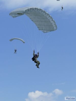dwóch spadochroniarzy na niebie