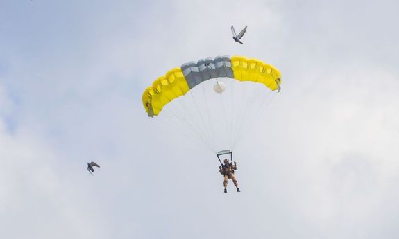 spadochroniarz z żółtym spadochronem leci na błękitnym niebie. Obok lecą dwa ptaki