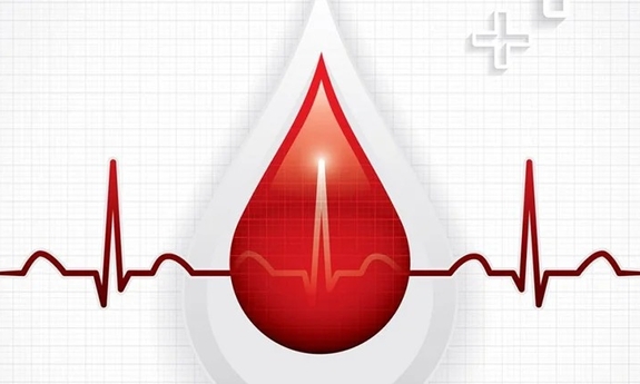grafika przedstawia kroplą krwi na tle wykresu elektrokardiogramu