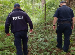 na zdjęciu umundurowani policjanci w trakcie poszukiwań dziadka i 4 letniego wnuczka w lesie